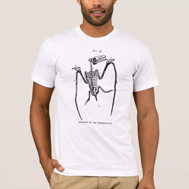 Vintage Pterodactyl Fossil T-Shirt (Frente)