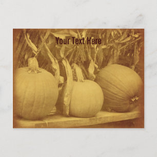Vintage Pumpkins Cornstalks Cartão Postal Personal