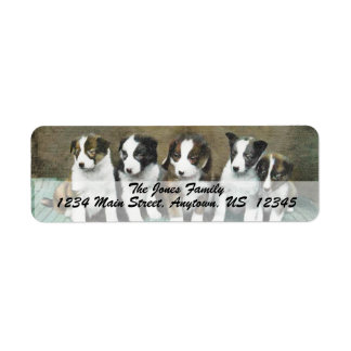 VINTAGE PUPPIES - Etiquetas de Endereço Personaliz