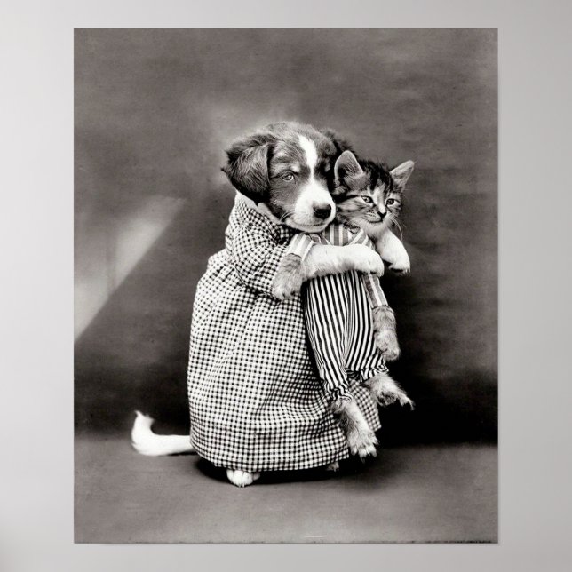 Vintage Puppy e Kitten Poster (Frente)