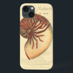 Vintage Red Conch Shell<br><div class="desc">Nesta imagem vívida,  você pode ver em estilo natural e único vintage da shell vermelha Conch de perto. Este tipo único de arte tem sombreado preto e vermelho para acentuar a espiral desta concha. Pegue esta concha com um fundo de sepia no seu produto hoje.</div>