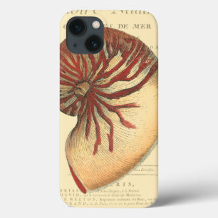 Vintage Red Conch Shell