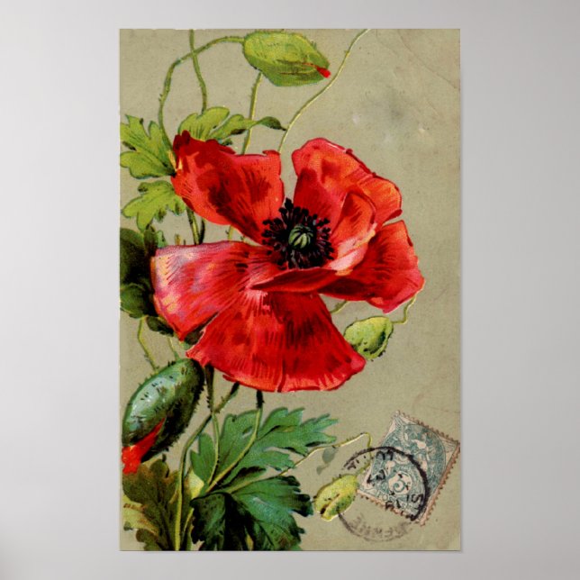 Vintage Red Poppy - Impressão (Frente)