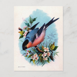 Vintage Retro Bird no Cartão Postal de Ramificaç