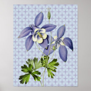 Vintage Retro Columbine Floral Art Poster