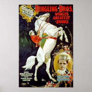 Vintage Ringling Bros. Poster do cavalo branco