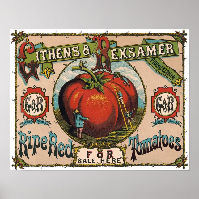 Vintage Ripe Red Tomates Poster (Frente)