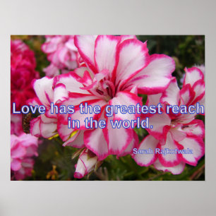 Vintage Rosa Geranium Garden Flowers Love Poster