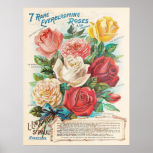 Vintage Roses Colorful Beautiful Ephemera Poster