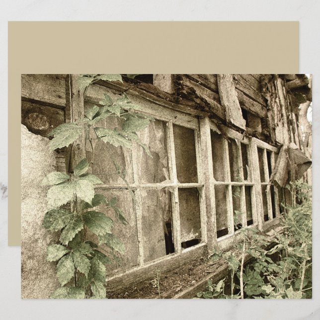 Vintage Rustic Old Wood Barn Windows (Frente/Verso)