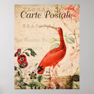 Vintage Scarlet Ibis Bird French Floral Poster