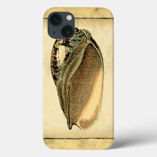 Vintage Seashell Russo