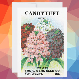 Vintage Seed Packet Art, Flores de Jardim de Candy