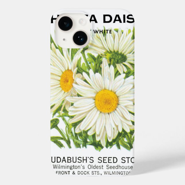 Vintage Seed Packet Art, Shasta Daisy Flowers (Verso)