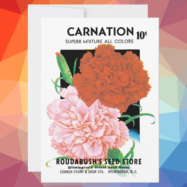 Vintage Seed Packet Label Art, Flores de Cárnatos (Criador carregado)