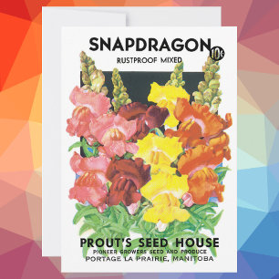 Vintage Seed Packet Label Art, Flores de Snapdrago