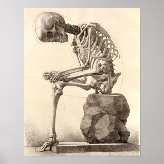Vintage Sitting Skeleton Poster (Frente)