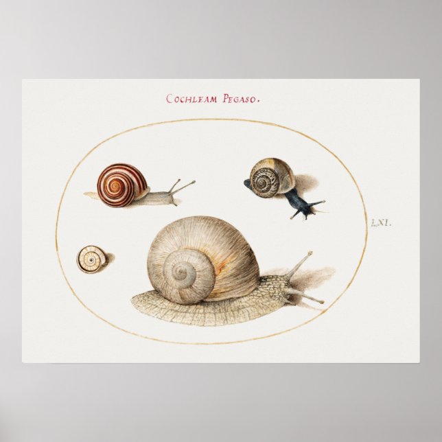 Vintage Snails Poster (Frente)