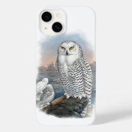 Vintage Snowy Owl Gould