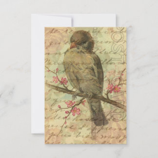 Vintage Sparrow Pink Salvar A Data Para Casamento