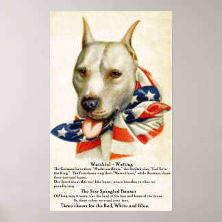 Vintage Star Spangled Banner Boit Dog 2 Poster