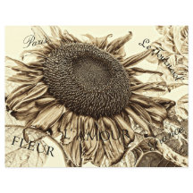 Vintage Sunflower Sepia Tone Old Script Decoupage