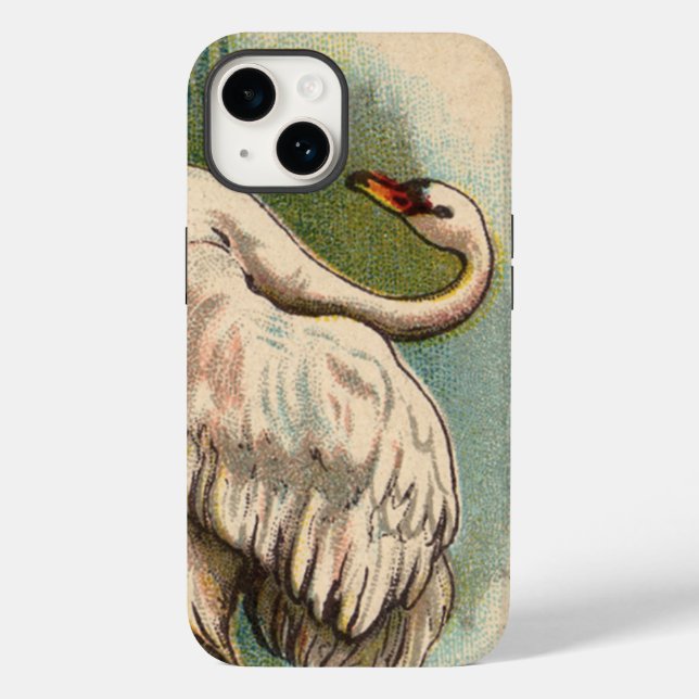 Vintage Swan (Verso)