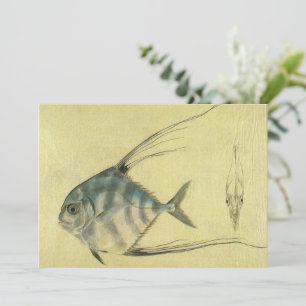 Vintage Threadfin Trevally, Peixe Pompano Africano