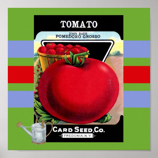 Vintage Tomato Seed Poster (Frente)