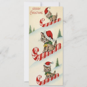 Vintage Três Gatinhos Adoráveis em Doces