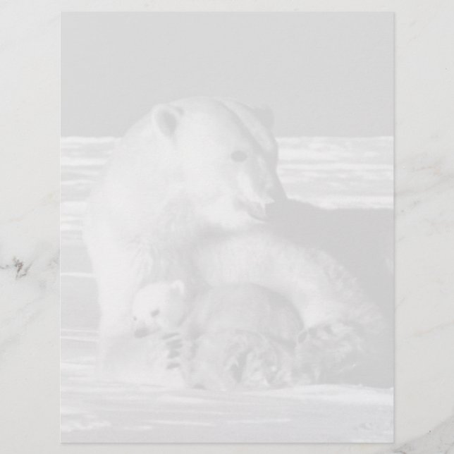 Vintage USA Alaska mãe urso polar (Frente)