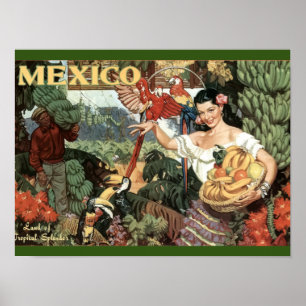 Vintage - Viagem - Poster - México - Tropical