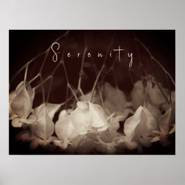 Vintage White Floral Poster