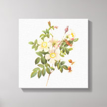 Vintage White Flowers Canvas