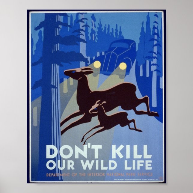 Vintage Wildlife Conservation Poster (Frente)