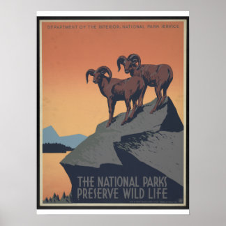 Vintage WPA National Parks Poster Circa 1940