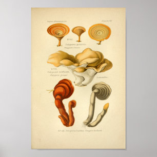 Vintage Yellow Red Mushroom Art Impressão francês