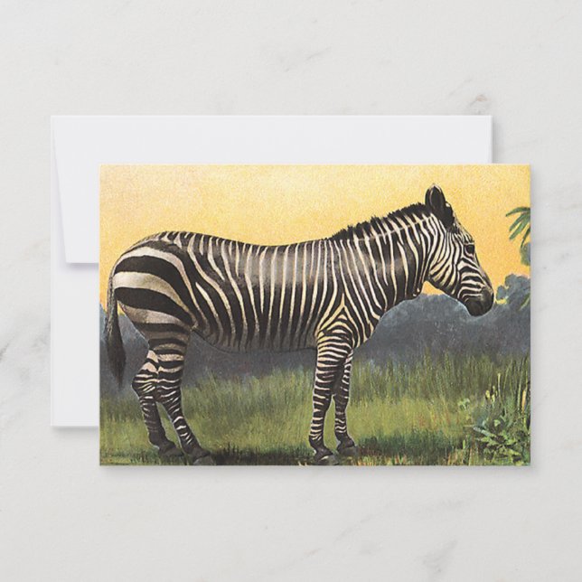 Vintage Zebra na savana africana, animal selvagem (Frente)