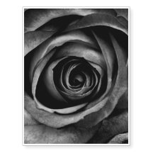 Vintagem Floral Decorativa de Flor Rosa Preta