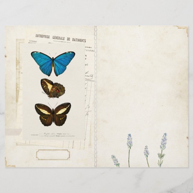 Vintagem frontal/traseira da página de Diário de b (Frente)