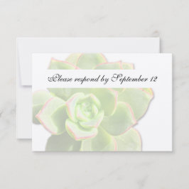 Vintagem Suculenta Verde Translúcida Rsvp