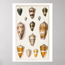 VINTAGENS POSTER DE ILUSTRAÇÃO