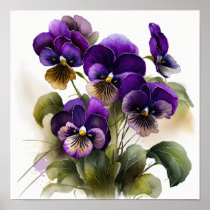 Violas Roxos, Impressão