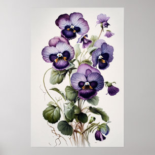 Violas Roxos, Impressão