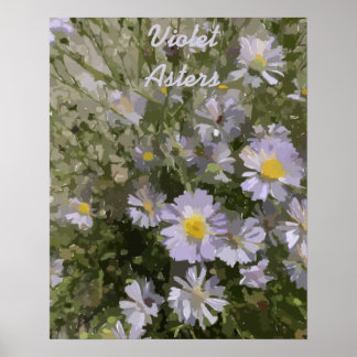 Violet Asters Poster