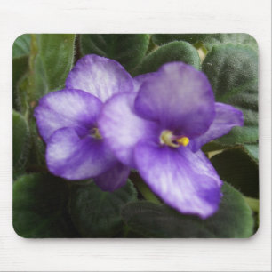Violetas africanas Mousepad