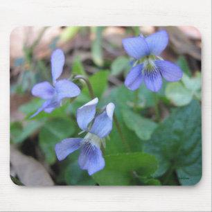 Violetas azuis Mousepad