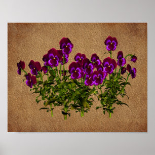 Violetas Na Poster De Arte Floral De Papel Envelhe