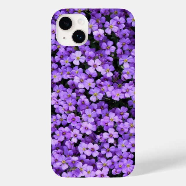 Violetas Violetas Primavera Roxos (Verso)
