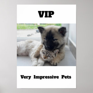 VIP Muito Impressionante Pets Cachorro Poster
